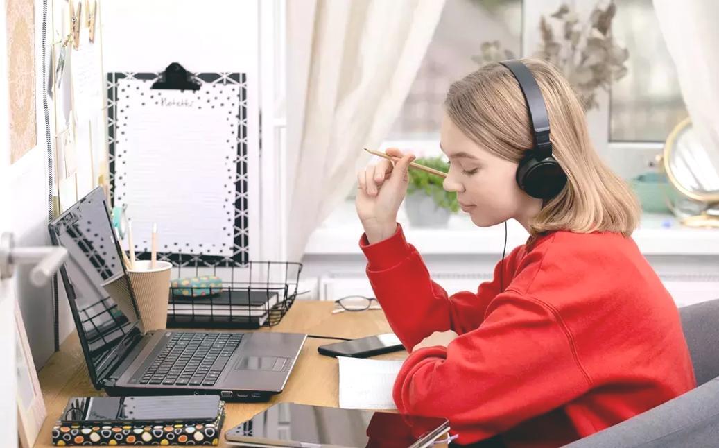 Uczestnik grupy roboczej podczas sesji online